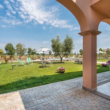 타르퀴니아 Agriturismo Pian Di Spille - Golf 빌라 외부 사진
